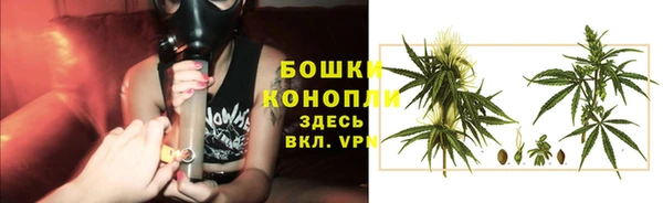 ECSTASY Остров