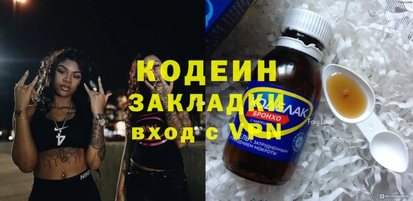 индика Белая Холуница