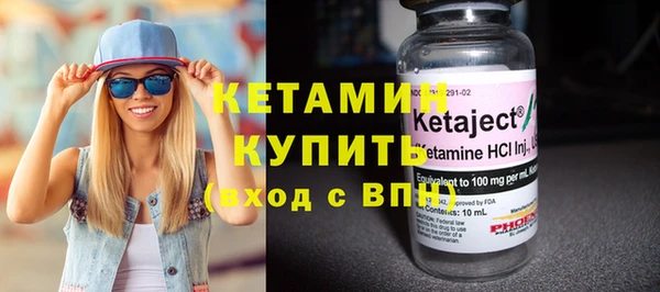 шишки Няндома