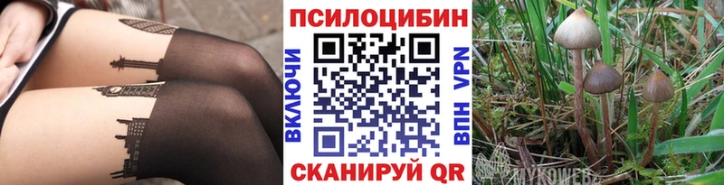 Галлюциногенные грибы Cubensis  сколько стоит  blacksprut ONION  Южа 